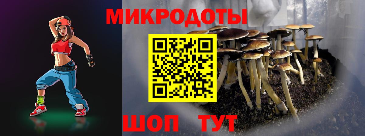 Псилоцибиновые грибы Magic Shrooms  Галлюциногенные грибы Psilocybine cubensis  Спасск-Дальний  Вход с VPN 